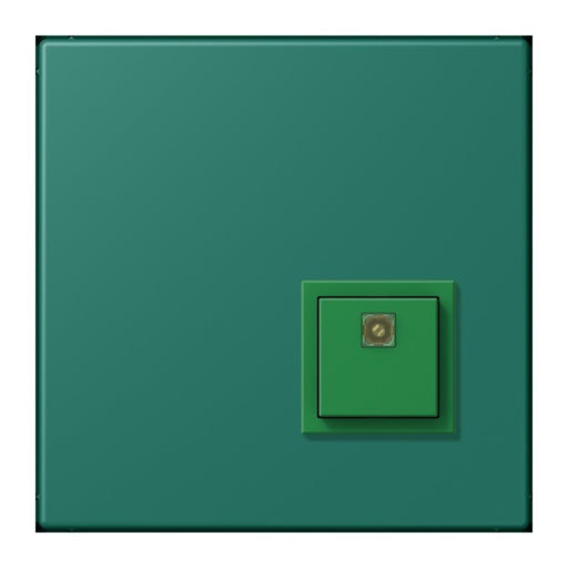 Jung - Behindertenelement für Installationsschalterprogramme Notrufsystem Abstelltaster NRS LC 0834 AT 216 vert anglais