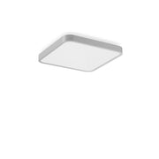 RZB - Decken-/Wandleuchte LED-Wand-u. Deckenleuchte 312437.004.1.730 840, s+f, si