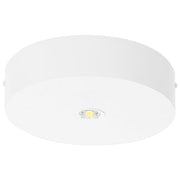 Fischer - Sicherheitsleuchte LED-Sicherheitsleuchte BRDE15I.V2