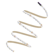 Ledvance - Lichtschlauch/-band LED-RGBW-Stripe LS PFM-1000RGBW827/5 5m