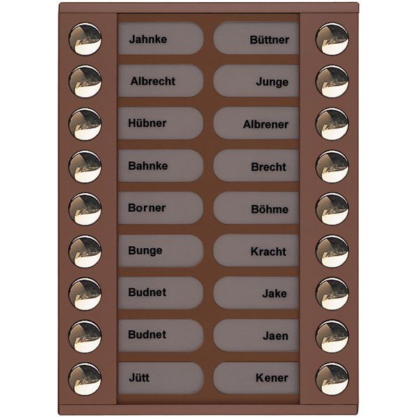TCS Tür Control - Montageelement für Türstation Audioaußenstation 2-reihig PET18-EB/04 Erw.18 Tasten bronze