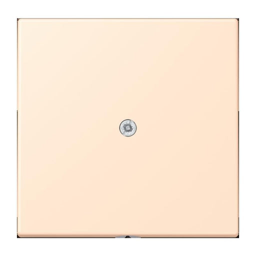 Jung - Einsatz/Abdeckung für Kommunikationstechnik Leitungsauslass m. Zugent. LC 990 A 238 terre sienne pale