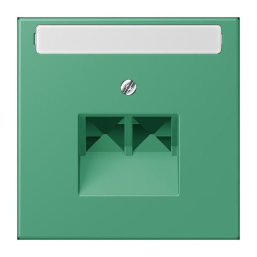 Jung - Einsatz/Abdeckung für Kommunikationstechnik Abdeckung für IAE/UAE LC 969-2 NAUA 250 vert 59 (4320G)