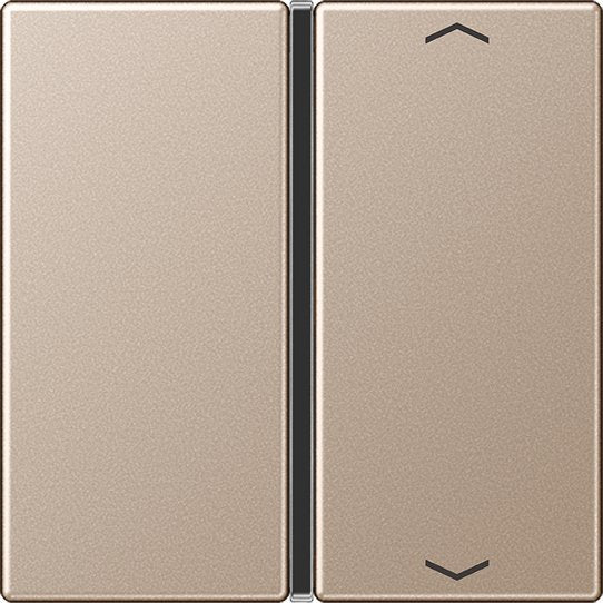 Jung - Abdeckung/Bedienelement für Installationsschalterprogramme Taste 1-fach champ. A 401 TSAP CH mit Symbolen − 1 Stück