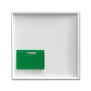 Busch-Jaeger - Zentralelement Klinikinstallation Zentralscheibe alpinws 2548-642 C-914 Licht-Ton-Rufsysteme