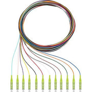 Rutenbeck - LWL-Pigtail Pigtails 12xLC OM5 2m OM5, 2m