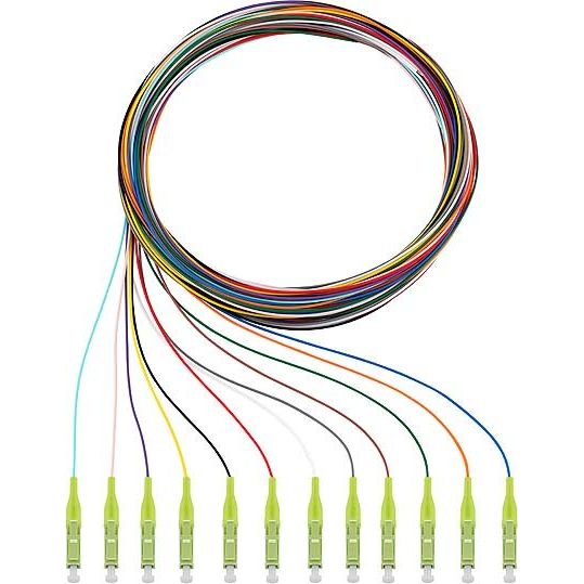 Rutenbeck - LWL-Pigtail Pigtails 12xLC OM5 2m OM5, 2m