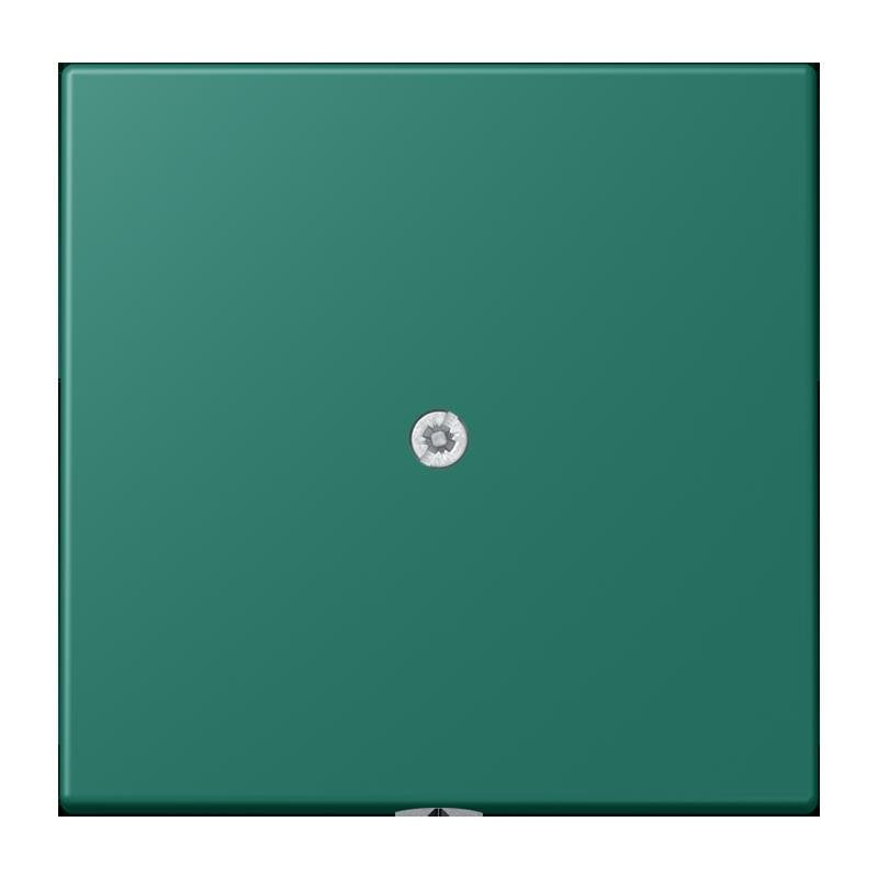 Jung - Einsatz/Abdeckung für Kommunikationstechnik Leitungsauslass m. Zugent. LC 990 A 216 vert anglais