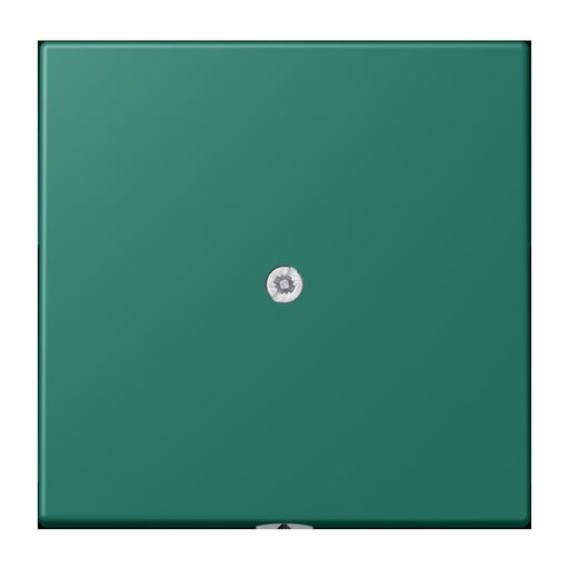 Jung - Einsatz/Abdeckung für Kommunikationstechnik Leitungsauslass m. Zugent. LC 990 A 216 vert anglais
