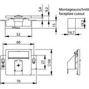 Telegärtner - Kommunikationsanschlussdose Kupfer Modul-Aufnahme 1fach 100021415 UP/50 aws leer f.BR − 1 Stück