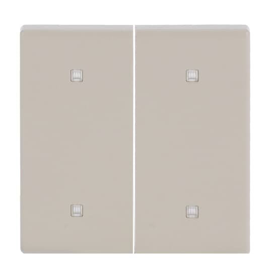 Busch-Jaeger - Abdeckung/Bedienelement für Installationsschalterprogramme Wippe 2-fach 2570-20-82 Elektroniktaster  − 1 Stück