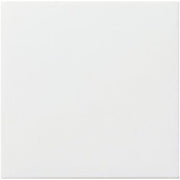 Gira - Zentralelement Klinikinstallation Abdeckung f. Leereinheit 022527 rw mt