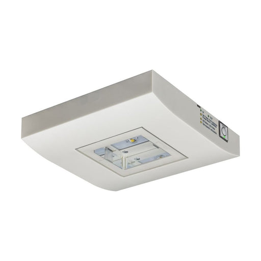 Ceag Notlichtsysteme - Sicherheitsleuchte LED-Einzelbatterie-Leuchte 13822.2 1-8/DCGLine