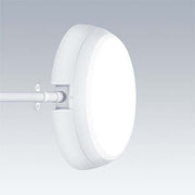Thorn - Decken-/Wandleuchte LED-Wandleuchte KAT RD SE #96631537 4000K