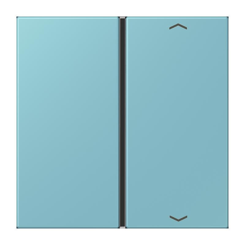 Jung - Abdeckung/Bedienelement für Installationsschalterprogramme Taste 1fach m. Pfeilsymb. LC 401 TSAP 213 ceruleen moyen