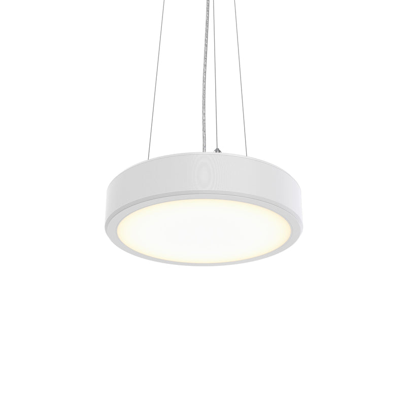 Philips Lighting - Pendelleuchte 3D-LED-Leuchte TCBRMP 19S #86390300 930