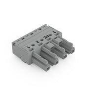 WAGO - Steckverbinder für steckbare Gebäudeinstallation Buchse 4-polig 770-244/062-000 Kod. B,grau − 50 Stück
