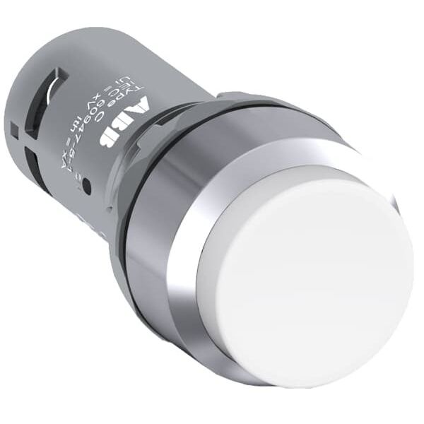 ABB Stotz S&J - Drucktaster, Komplettgerät Drucktaster CP3-30W-20 weiß, 2 Schließer