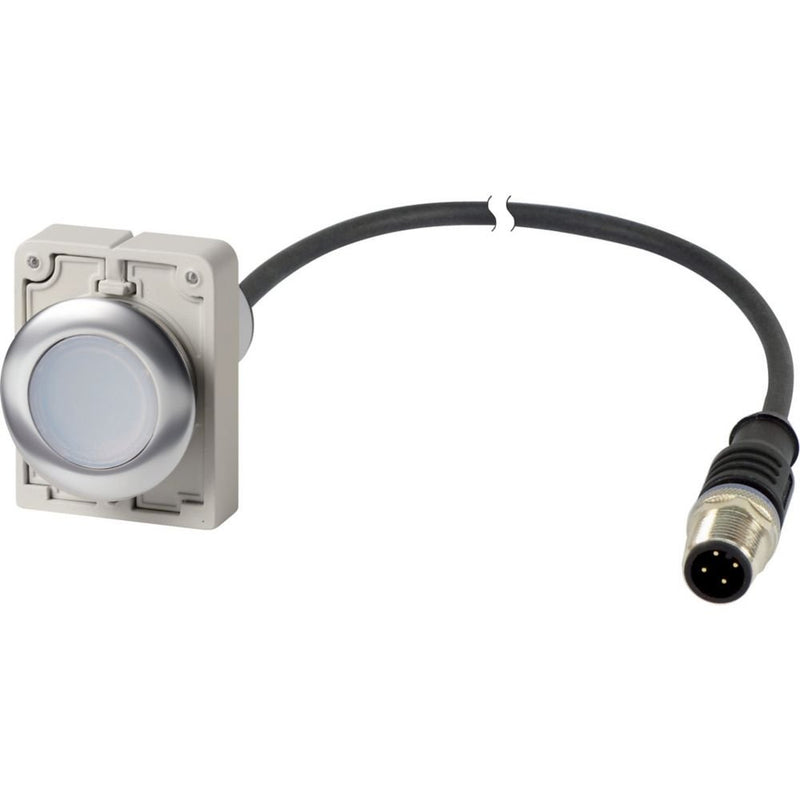 Eaton - Drucktaster, Komplettgerät Leuchtdrucktaste flach 1S C30C-FDL-W-K10-24-P5 4polig 24V 1m