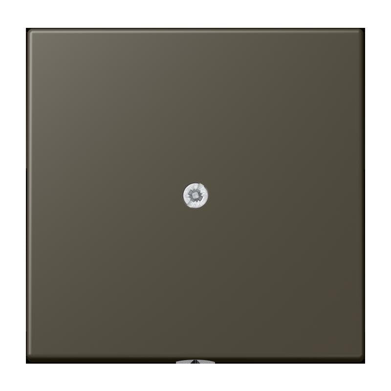 Jung - Einsatz/Abdeckung für Kommunikationstechnik Leitungsauslass m. Zugent. LC 990 A 241 ombre naturelle 31