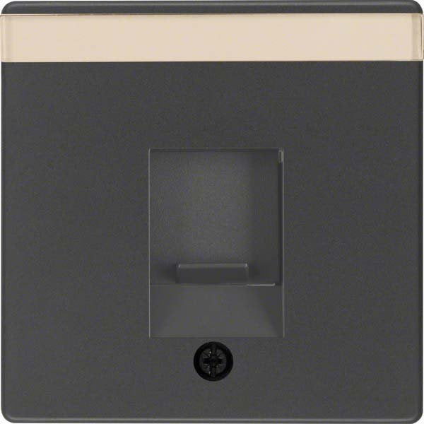 Berker - Einsatz/Abdeckung für Kommunikationstechnik Zentralstück anth/sa 11706086 m.Staubschutzschieb