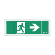 Ceag Notlichtsysteme - Sicherheitsleuchte LED-Rettungszeichenleuchte FT1EW4ICGS ZB, Piktos, Wand