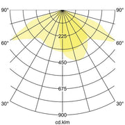 Brumberg Leuchten - Downlight/Strahler/Flutlicht LED-Fluter 60802644 4000K, asym., titan