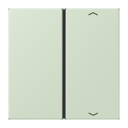 Jung - Abdeckung/Bedienelement für Installationsschalterprogramme Taste 1fach m. Pfeilsymb. LC 401 TSAP 218 vert anglais pale