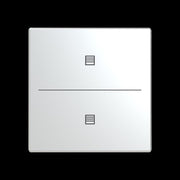 Busch-Jaeger - Bussystem-Tastwippe Abdeckung als Taster LFJT/A.2.63.11-866 2f. Symbol Jalousie