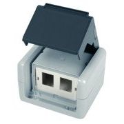 Telegärtner - Kommunikationsanschlussdose Kupfer Industrie AP-Gehäu. IP44,75x86x58,gr 100021370 für 2xAMJ-Modul − 1 Stück