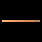 Striebel&John - Sammelschiene Innenausbau Modul ZXM1229 4FB 40x10
