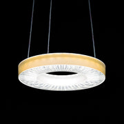 Ridi-Leuchten - Lichttechnisches Zubehör/Ersatzteile für Leuchten Einlegefolie IRIS-O FOLIE BERNST. bernstein