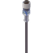 Belden - Konfektioniertes Sensor-Aktor-Kabel Kabeldose RKT/LED A 4-3-224/2m