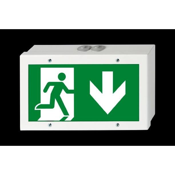 H1 - Sicherheitsleuchte Rettungszeichenleuchte Bouncer M CBS