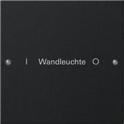 Gira - Bussystem-Tastwippe Wippenset 1-fach 2201005 beschr. System 55 sw