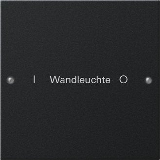 Gira - Bussystem-Tastwippe Wippenset 1-fach 2201005 beschr. System 55 sw