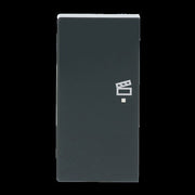 Busch-Jaeger - Bussystem-Tastwippe Wippe 2-f li Symbol Szene 6233-21-81 anthrazit