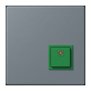 Jung - Behindertenelement für Installationsschalterprogramme Notrufsystem Abstelltaster NRS LC 0834 AT 251 gris 59