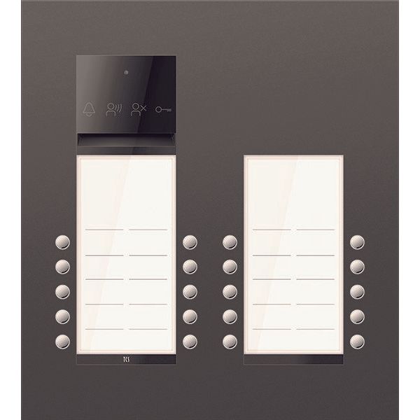 TCS Tür Control - Türstation für Türkommunikation PES PRO Audio Außenstat. ASU600420-0017 20T/2 UP R7016