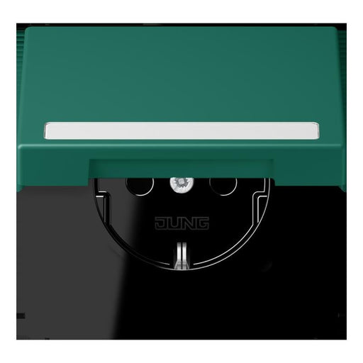 Jung - Steckdose SCHUKO Steckdose LC 1520 BFNAKL 216 vert anglais (32040)