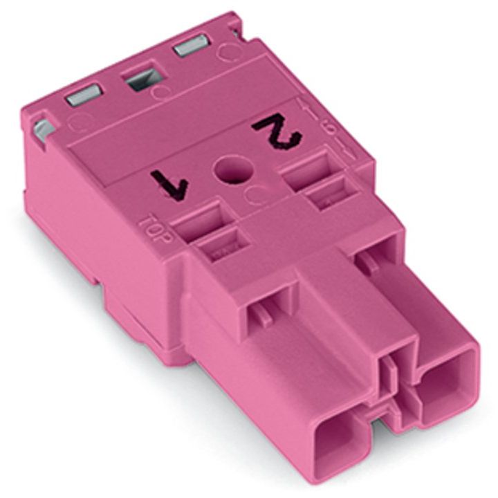 WAGO - Steckverbinder für steckbare Gebäudeinstallation Stecker 2-polig 770-292 Kod. B,pink − 100 Stück
