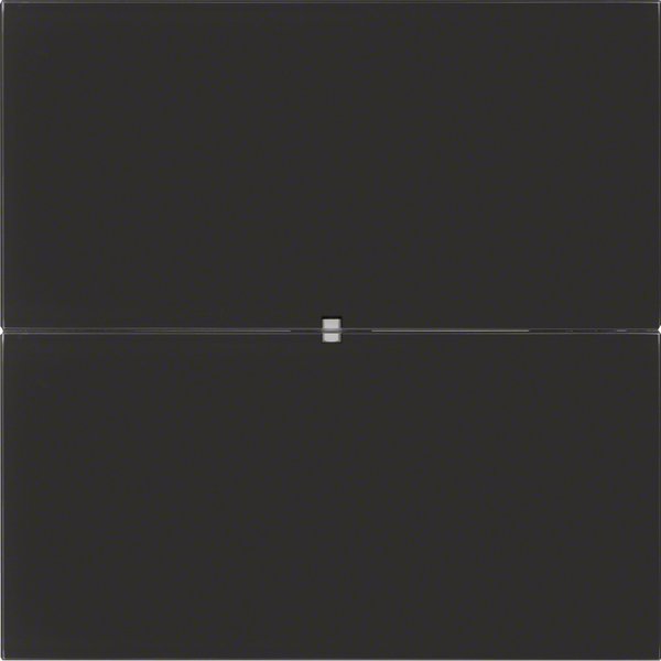 Berker - Bussystem-Tastsensor Tastsensor 2fach 75162092 Glas schwarz
