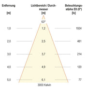 EVN Lichttechnik - Downlight/Strahler/Flutlicht LED-Anbauleuchte ALG54251525