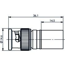 Telegärtner - Koax-Steckverbinder BNC-Kabelstecker 100023320 cr/cr RG-214/U