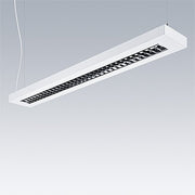 Thorn - Pendelleuchte LED-Hängeleuchte PUNCH 3 LV #96636016 840