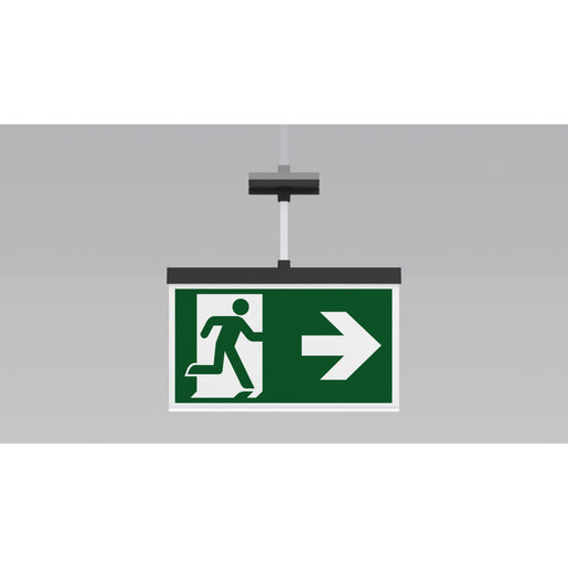 RP-Technik - Sicherheitsleuchte LED-Rettungszeichenleuchte AXEP403SC-AZ EB 3h, SC, anthr