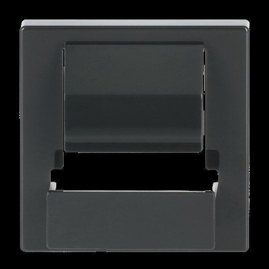 Busch-Jaeger - Einsatz/Abdeckung für Kommunikationstechnik Zentralscheibe anth 6477-81 PowerDock USB