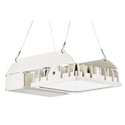 Pracht - Hallen-Reflektorleuchte LED-Strahler QUADRONIUS #86790121 4000K 110°