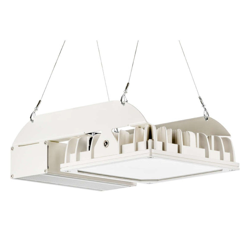 Pracht - Hallen-Reflektorleuchte LED-Strahler QUADRONIUS #86790121 4000K 110°