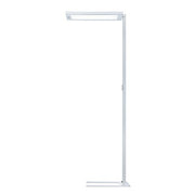Waldmann Light - Stehleuchte LED-Stehleuchte DPS14000VTLRG2WSCEE